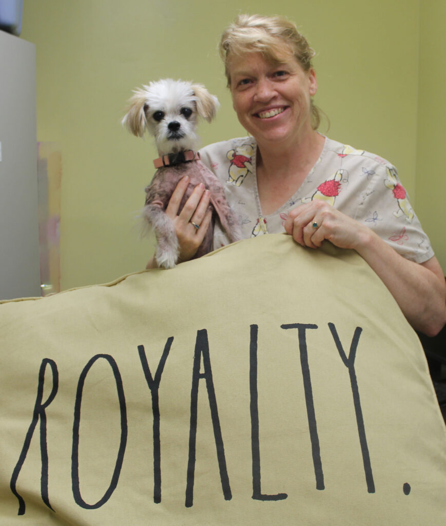 Royal, a small white Shih Tzu, with a smiling woman holding a pillow that reads "Royalty"