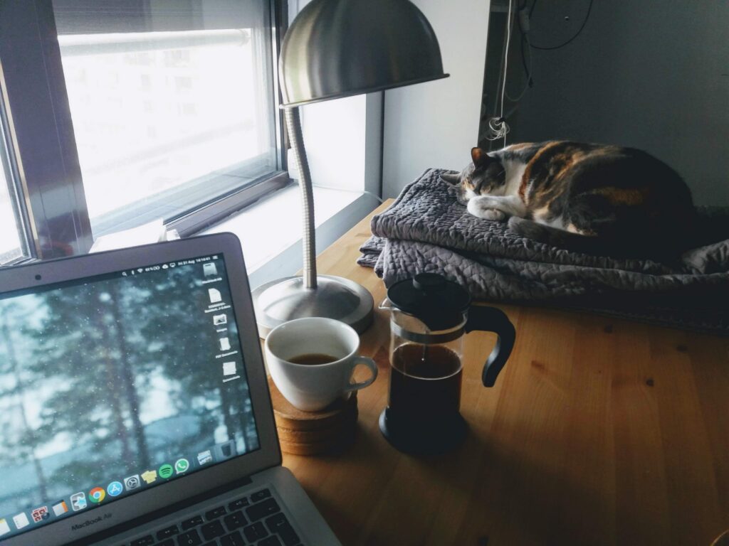 Cat sleeping on a bed by a window beside a desk with a laptop and coffee mugs