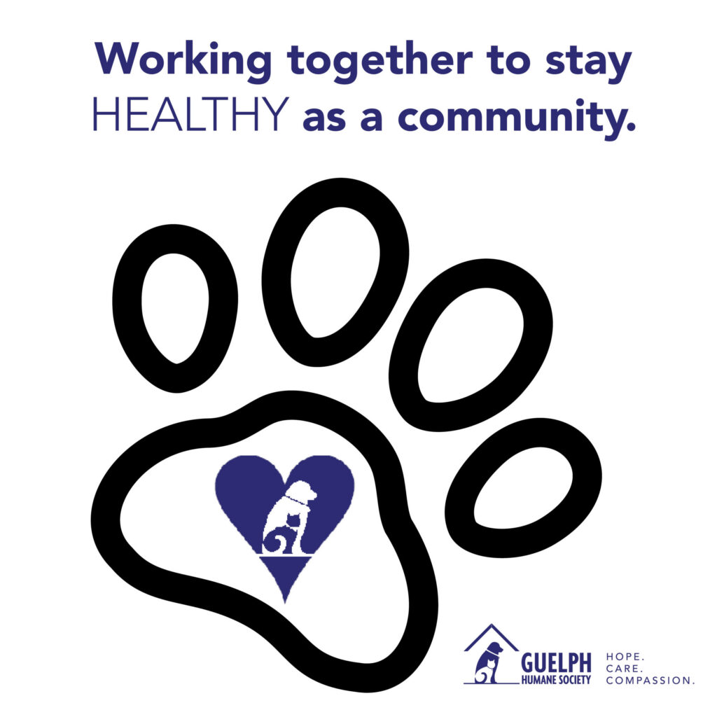 Working together to stay healthy as a community, with a paw print outline containing a heart and the Guelph Humane Society logo