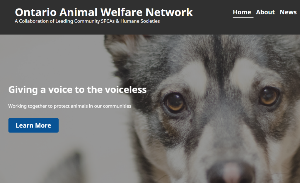 Ontario Animal Welfare Network website homepage with the tagline "Giving a voice to the voiceless" and a photo of a husky