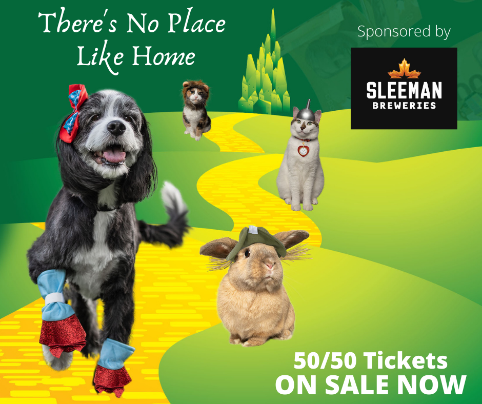 There's No Place Like Home 50/50 tickets on sale now, sponsored by Sleeman Breweries. Illustration of a dog, cats and a rabbit on a yellow brick road.
