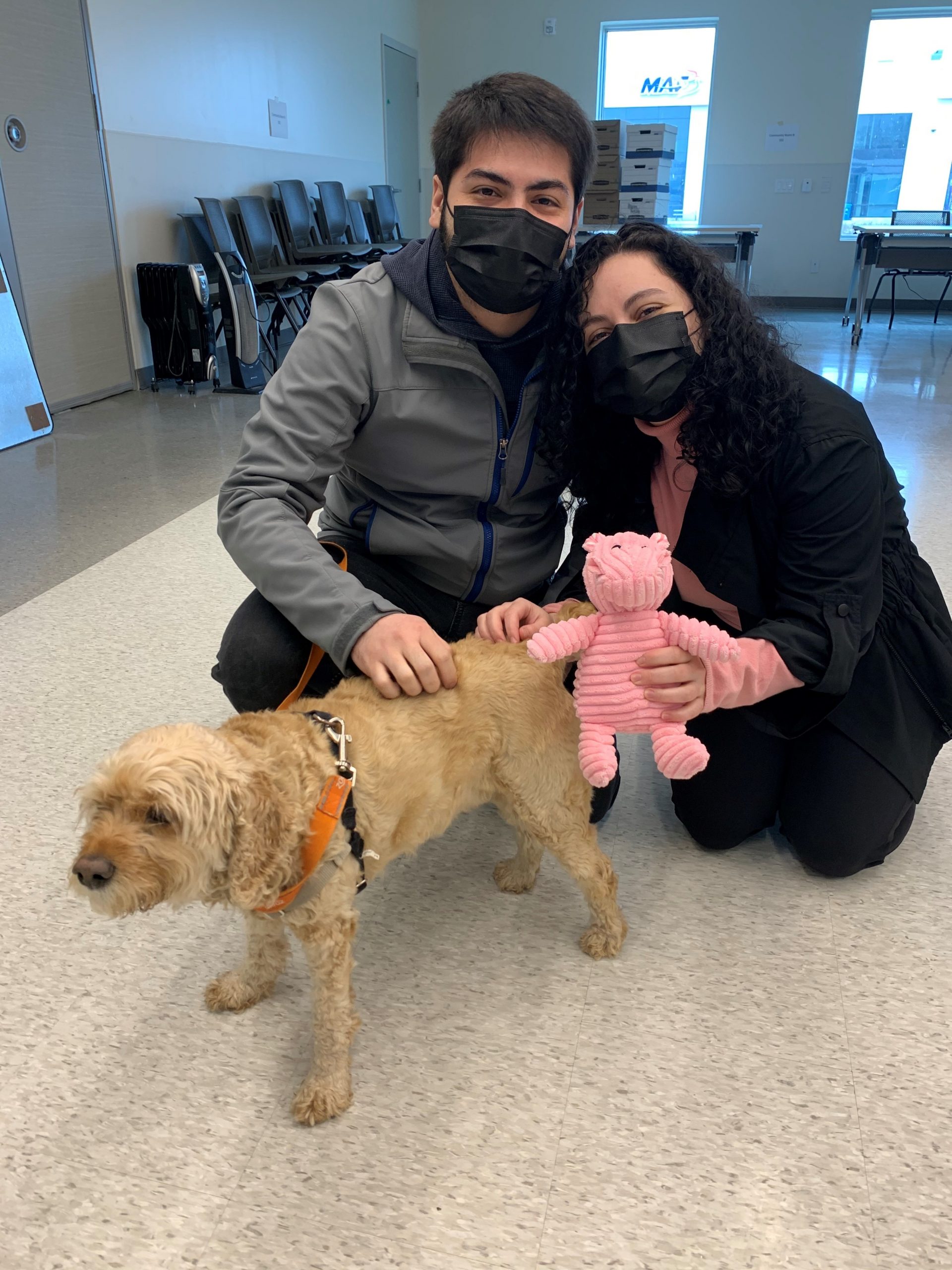 Betsy, a scruffy tan dog, with her new family, who are wearing face masks and holding a pink toy