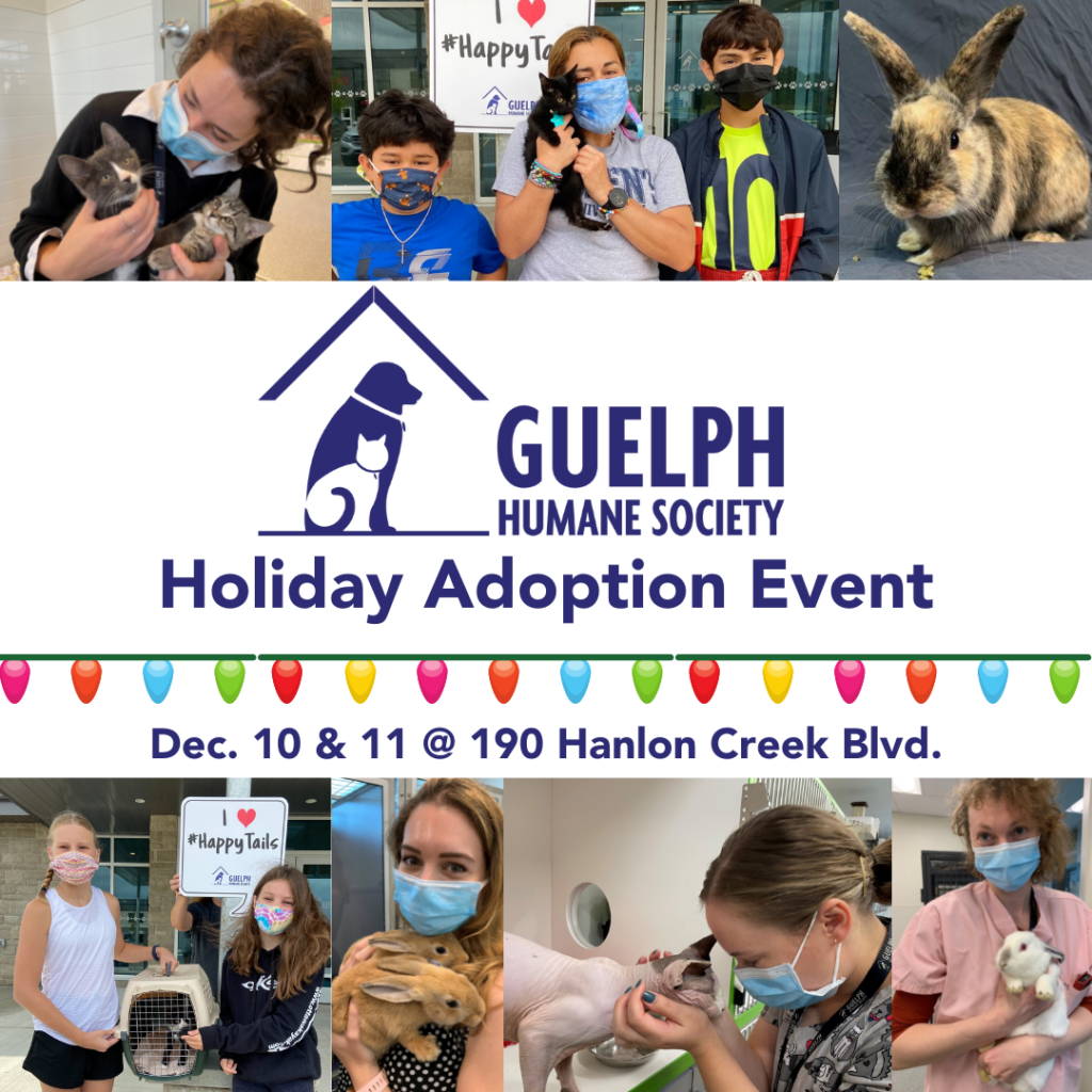 Guelph Humane Society Holiday Adoption Event, December 10 and 11 at 190 Hanlon Creek Blvd., with photos of staff and families with adoptable animals