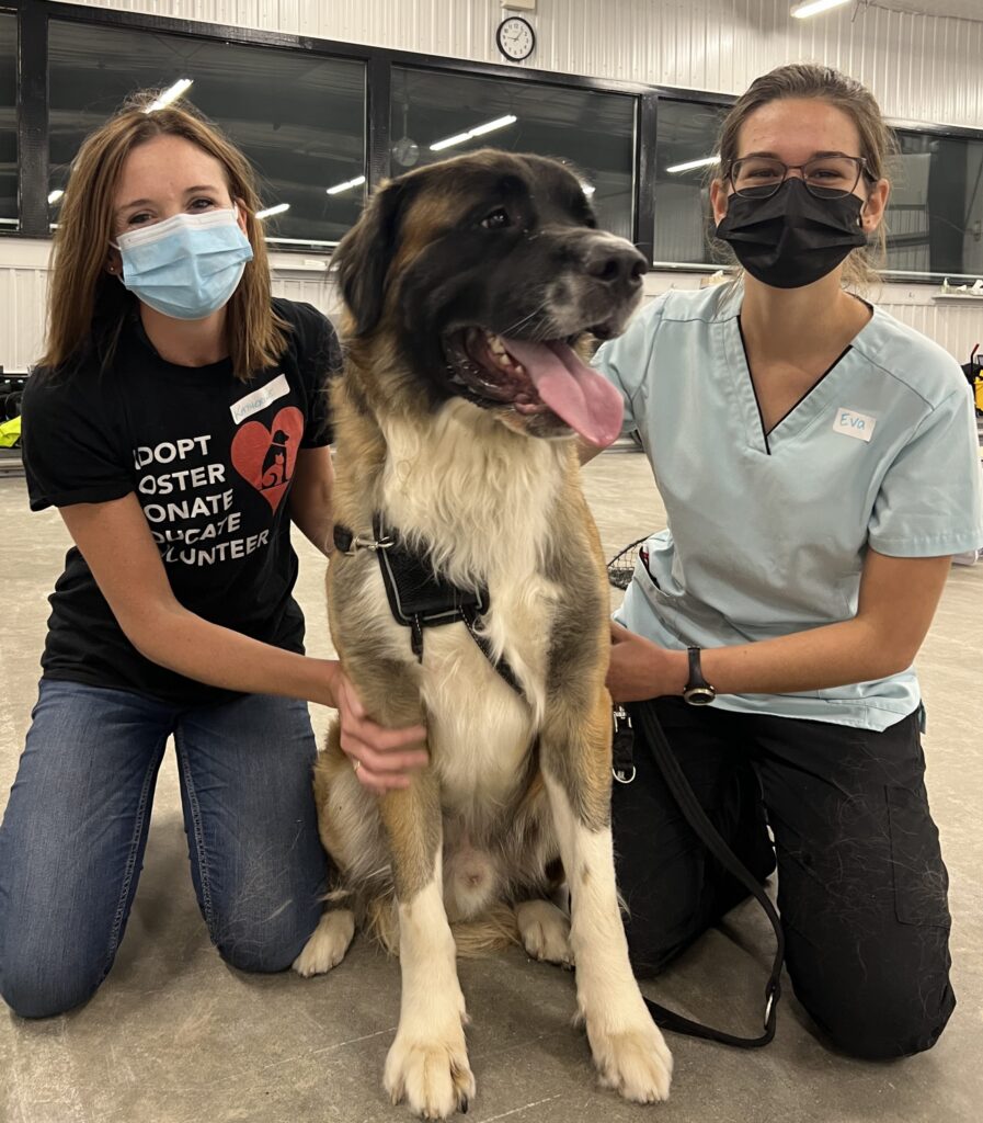 Katherine, GHS community programs and outreach coordinator, and Eva kneeling with pet patient Bear, a large fluffy dog