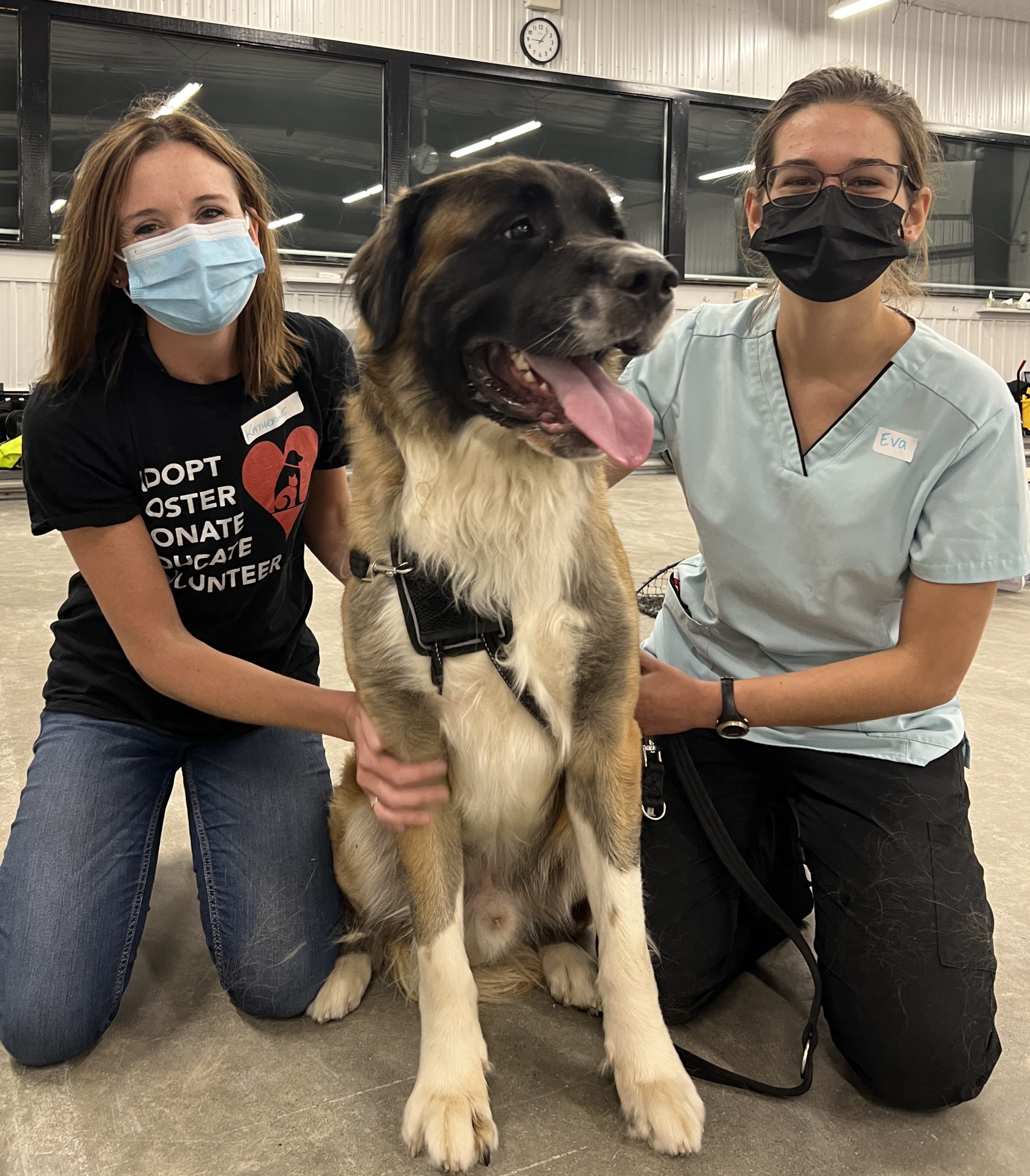 Katherine, GHS community programs and outreach coordinator, and Eva kneeling with pet patient Bear, a large fluffy dog