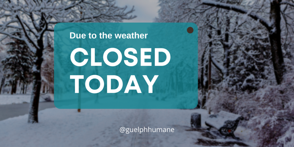 "Due to the weather, closed today" over a snowy park scene