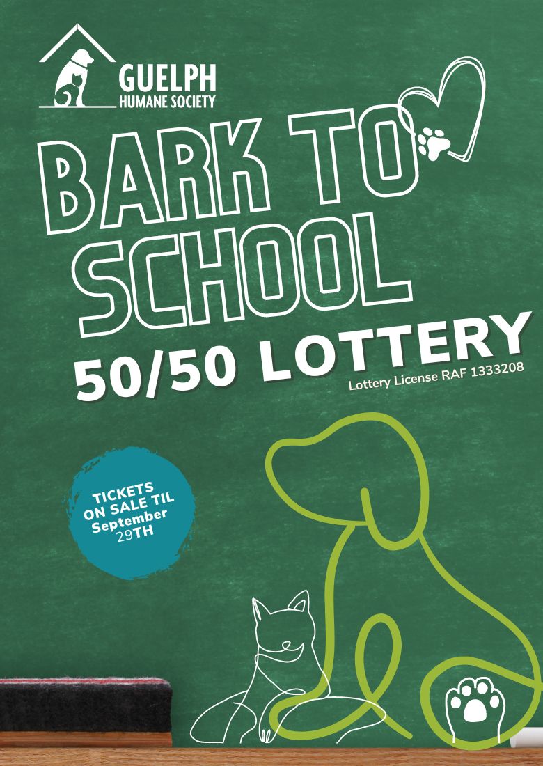 Guelph Humane Society Bark to School 50/50 Lottery. Tickets on sale until September 29. Shown on a chalkboard background with line drawings of a dog and cat.