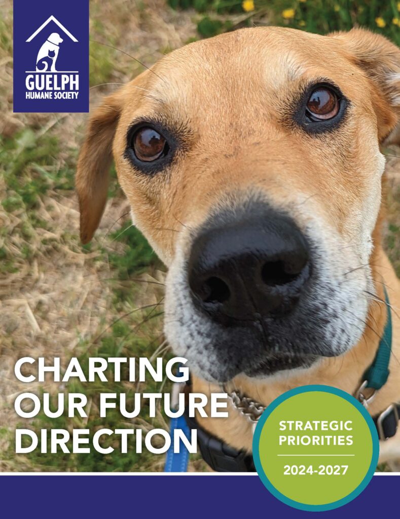 Cover of the Guelph Humane Society strategic plan, Charting Our Future Direction: Strategic Priorities 2024 to 2027, featuring a tan dog