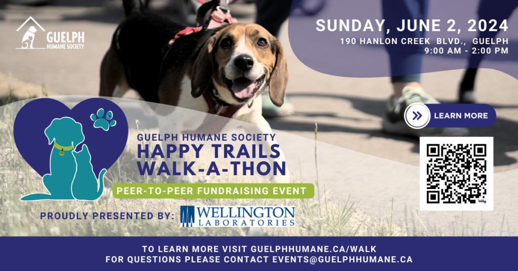 Guelph Humane Society Happy Trails Walk-a-Thon, a peer-to-peer fundraising event, Sunday, June 2, 2024, 9 a.m. to 2 p.m. at 190 Hanlon Creek Blvd., Guelph. Proudly presented by Wellington Laboratories. Learn more at guelphhumane.ca/walk or email events@guelphhumane.ca. Shown with a beagle on a leash.