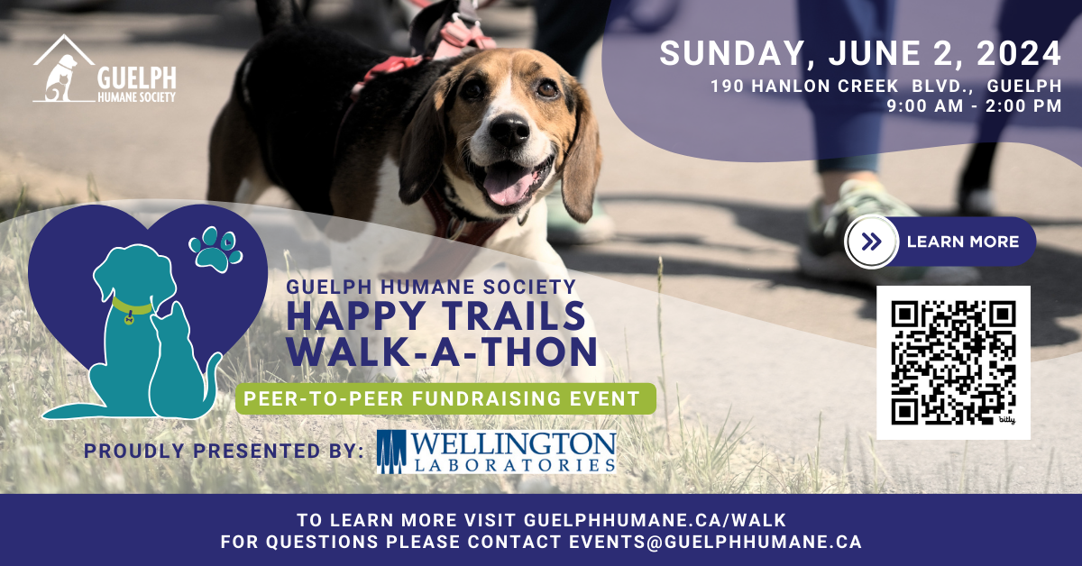 Guelph Humane Society Happy Trails Walk-a-Thon, a peer-to-peer fundraising event, Sunday, June 2, 2024, 9 a.m. to 2 p.m. at 190 Hanlon Creek Blvd., Guelph. Proudly presented by Wellington Laboratories. Learn more at guelphhumane.ca/walk or email events@guelphhumane.ca. Shown with a beagle on a leash.