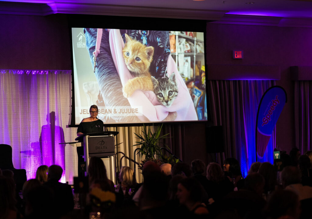 Lisa Veit, GHS Executive Director, speaking at a podium at the 2023 Happy Tails Gala, with a cat photo on the screen behind her