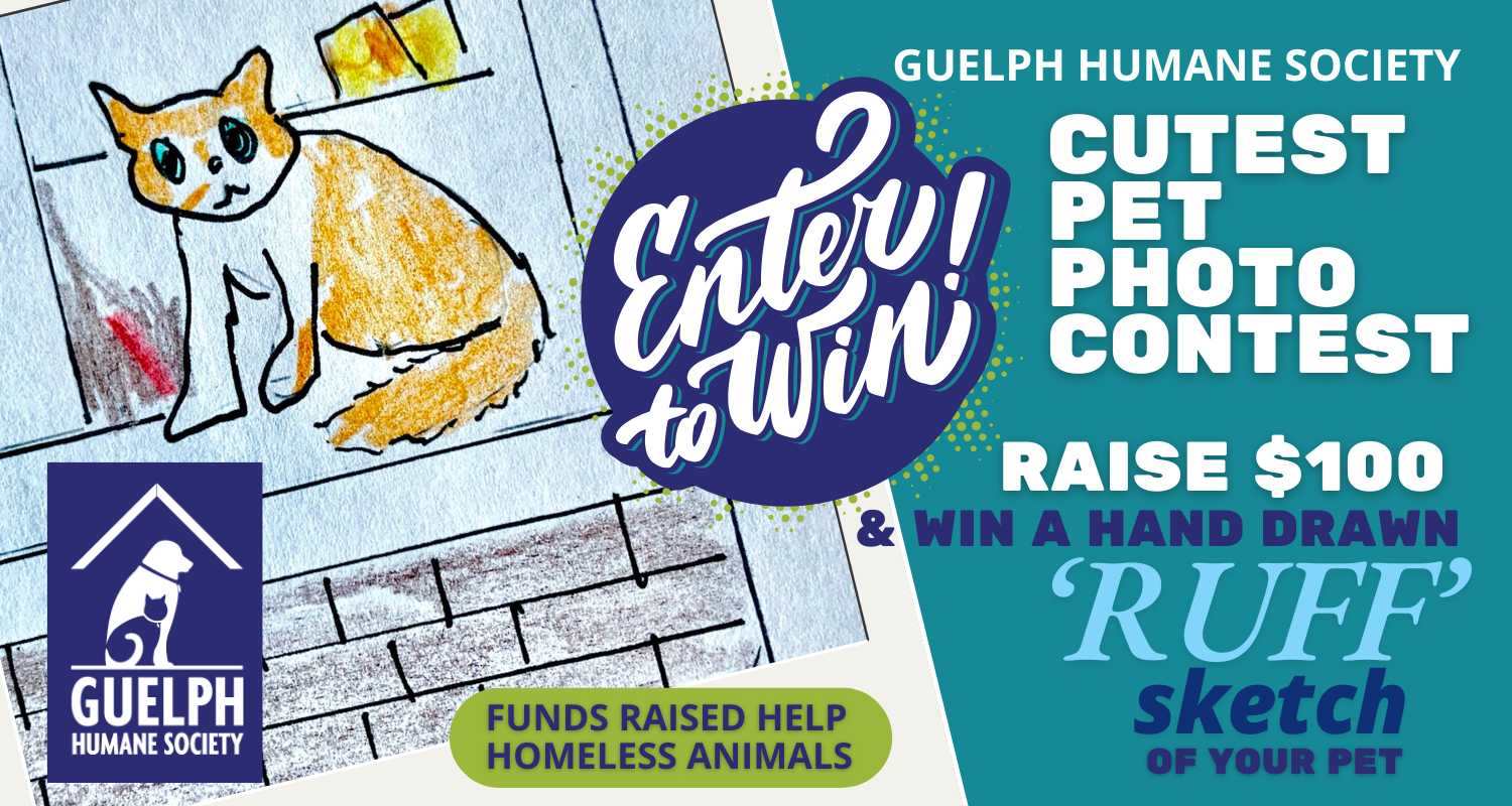 Guelph Humane Society Cutest Pet Photo Contest. Enter to win: raise $100 and win a hand-drawn "ruff" sketch of your pet. Funds raised help homeless animals.