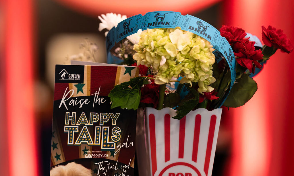 Carnival-themed table centrepiece with flowers in a popcorn box at the Happy Tails Gala