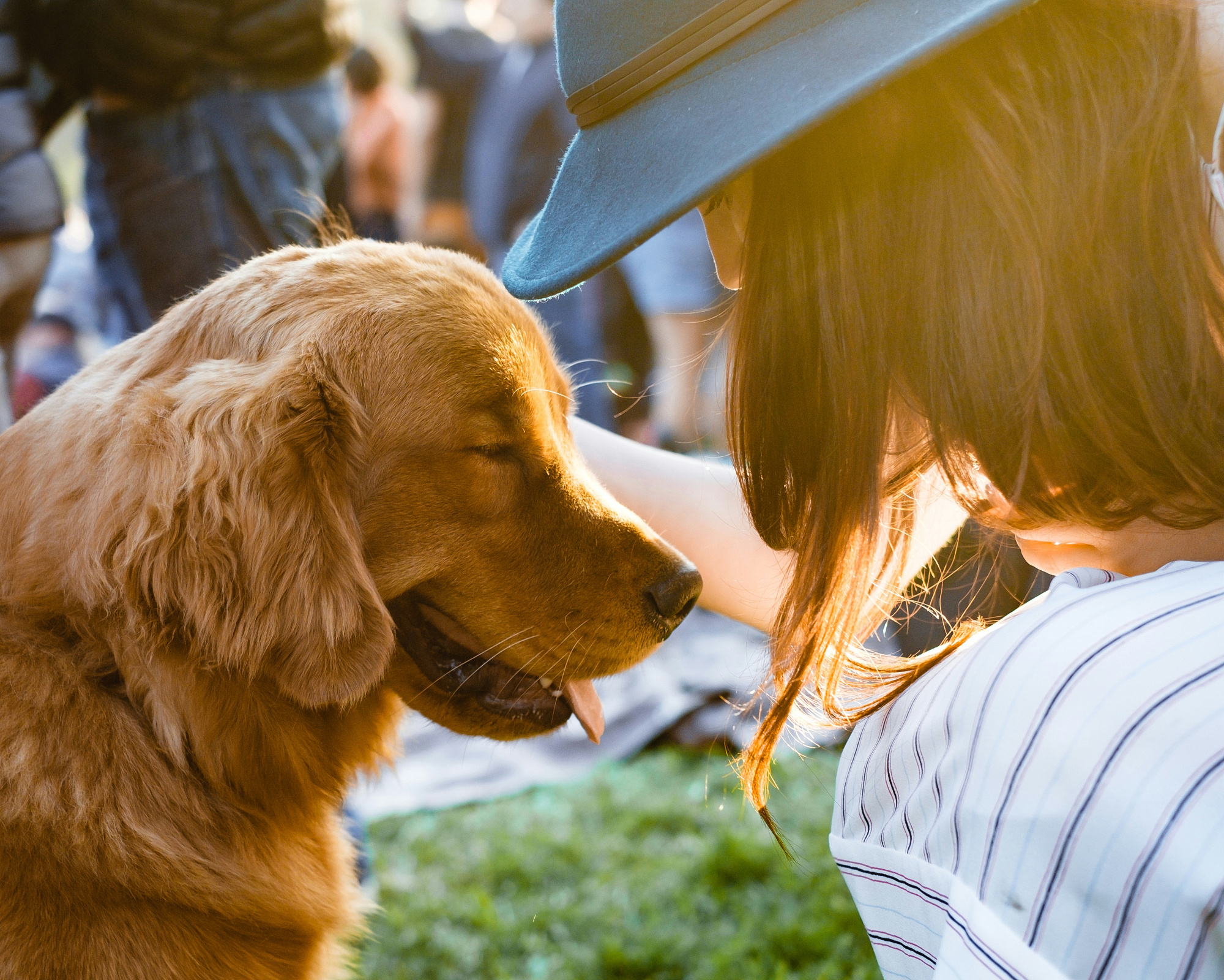 A golden retriever leans in toward a young woman in a blue hat as she reaches out to stroke its head, both sitting on the grass at an outdoor gathering.