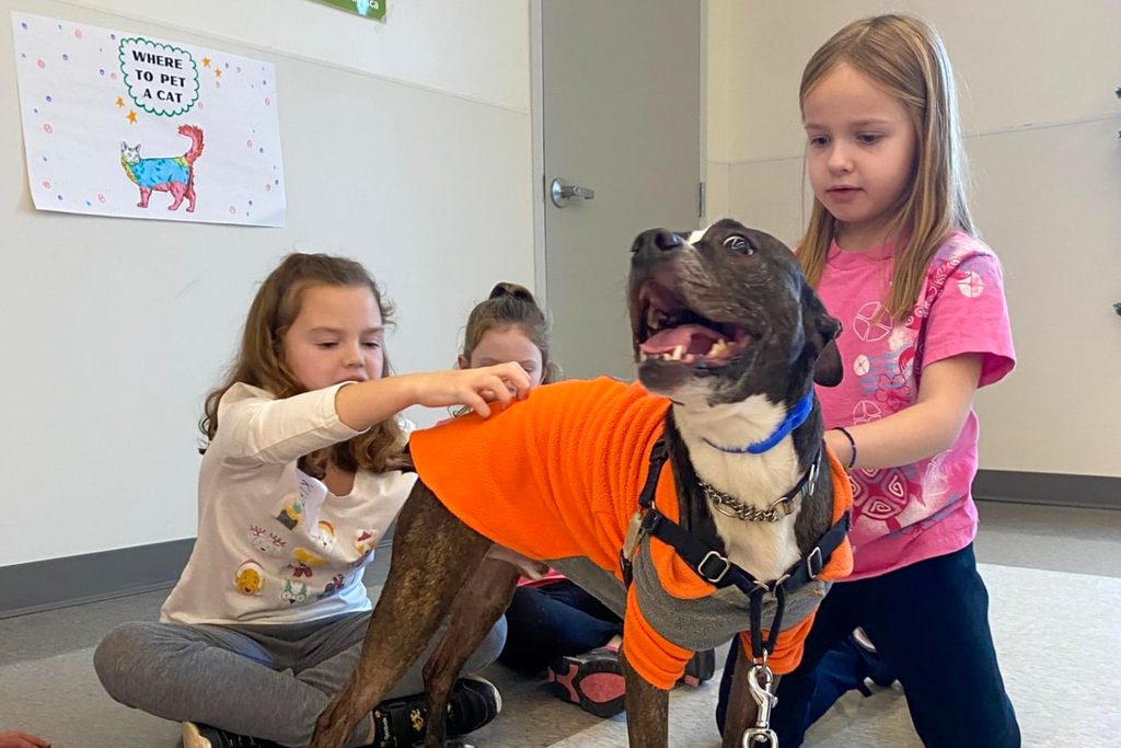 Two young girls petting a dark dog wearing an orange shirt